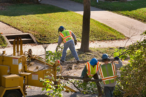 Best Fruit Tree Pruning  in Pretty Bayou, FL